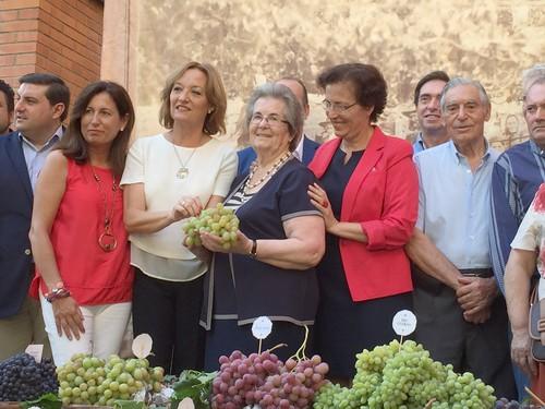 Las exportaciones de uva de Almería superaron los ocho millones de euros en 2015