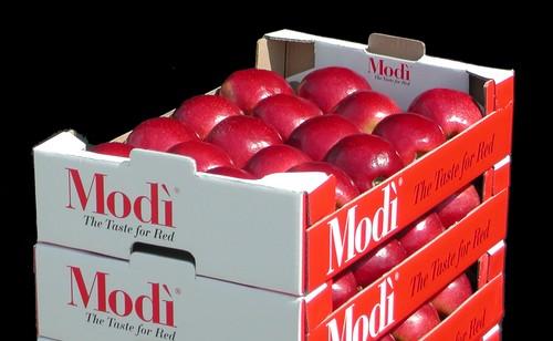 El Proyecto Internacional Modì® está creciendo. Dole Chile nuevo licenciatario Hemisferio Sur