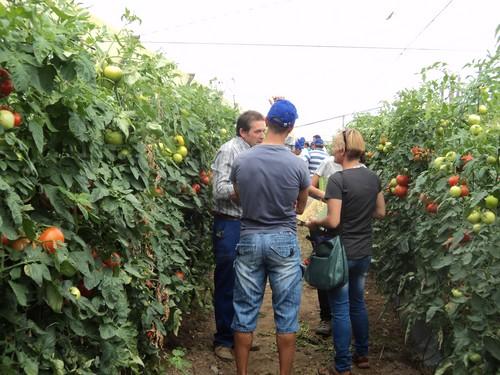 La agricultura tecnológica, comprometida con la capa de Ozono