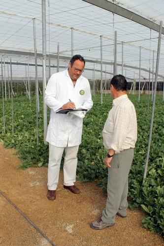 Agrocolor, la certificadora de referencia en producción integrada en Andalucía y ecológica  a nivel nacional en cultivos hortícolas bajo plástico