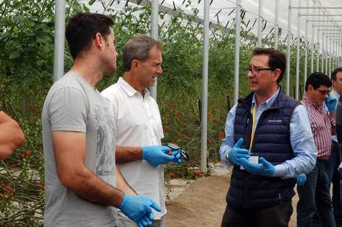 HM Clause, la innovación en semillas al servicio del agricultor