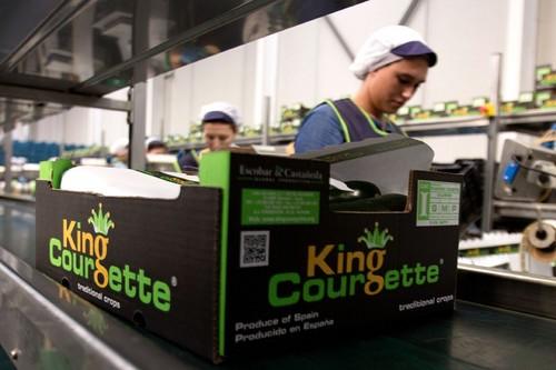 King Courgette se consolida como referencia en calabacín en Europa