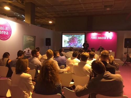 Buttonhole Kale, la última innovación de Tozer Seeds, se presenta en Fruit Attraction 2016