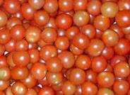 La Junta regula la venta directa al consumidor  de 22 productos agrarios y forestales
