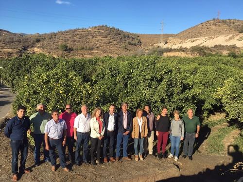 El PSOE pide al Gobierno que proteja a los productores almerienses de cítricos de las importaciones sudafricanas