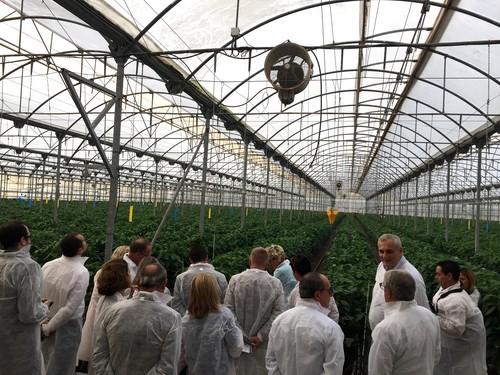HORTIESPAÑA traslada la importancia de buscar un marco legislativo europeo para la futura Organización Interprofesional Europea
