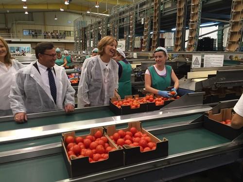 Almería exportó 2.669.918 toneladas de frutas y hortalizas entre septiembre de 2015 y agosto de 2016