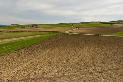 UPA advierte de que prohibir los fitosanitarios en zonas de interés ecológico podría ser contraproducente