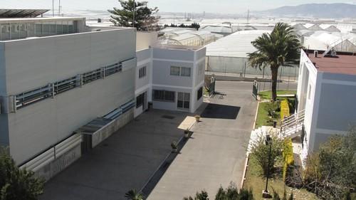 Almería acoge la Jornada Anual de Frutas y Hortalizas de Cooperativas Agro-alimentarias de España