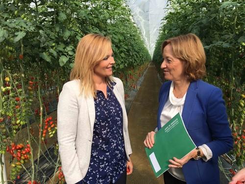 El PSOE celebra que la Junta publique las ayudas para restaurar las zonas agrícolas dañadas por las lluvias