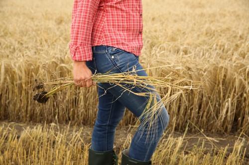 YaraMila™ BALANCE: el equilibrio perfecto entre lo que el suelo tiene y el cultivo demanda