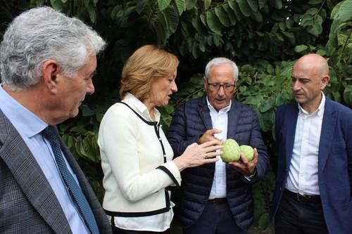 La Junta destina 581.000 euros a investigación para mejorar la rentabilidad y sostenibilidad del cultivo de tropicales