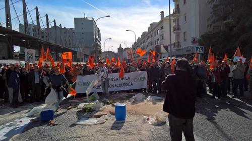 400 agricultores y ganaderos de ecológico de UPA Andalucía protestan ante la Consejería de Agricultura