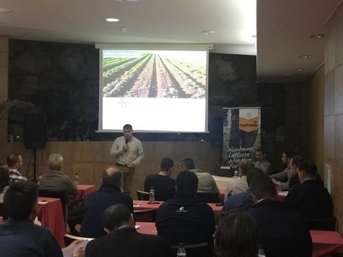 Bayer asegura la producción de verano con nuevas variedades de lechuga resistentes a Fusarium