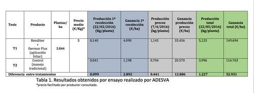 Rendiber®, de Grupo Agrotecnología, ayuda a mejorar y concentrar la producción en los cultivos de arándanos