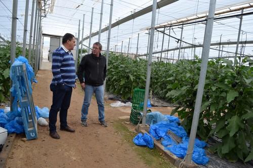 Aumenta el número de robos en el campo, sobre todo en El Ejido y Vícar