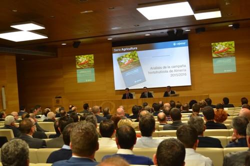 El pimiento se consolida como la hortaliza que más valor genera representando un 31,5 % del conjunto del sector, según Cajamar