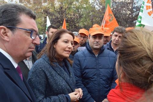 El PP apoya en Sevilla a los más de 3.000 agricultores que se han quedado fuera de las ayudas para agricultura ecológica en la provincia
