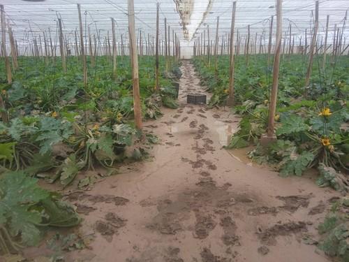 Cajamar apoya a los afectados por las lluvias de Andalucía, Murcia y Comunidad Valenciana con una línea inicial de financiación especial de 800 millones de euros