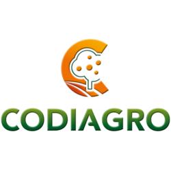 Codiagro pone en marcha la jornada continua para mejorar la eficiencia en su servicio