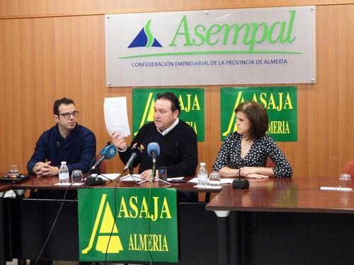 ASAJA-Almería destaca el 2016 como un año de extremos en los precios para las hortalizas