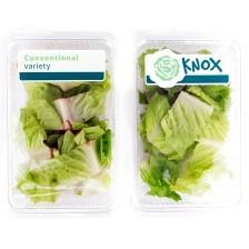 Rijk Zwaan, Syngenta y Koppert, entre los nominados que optan al Innovation Award 2017 en Fruit Logistica