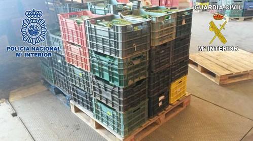 Desarticulado un grupo criminal dedicado a la venta de productos hortofrutícolas robados en campos de Málaga, Granada y Almería