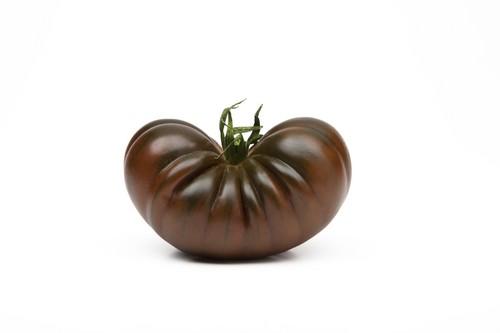 HM. Clause, innovando en tomate para conquistar los mercados
