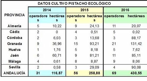 El pistacho ecológico casi cuadruplica su superficie en Andalucía en los dos últimos años y supera las 430 hectáreas en 2016