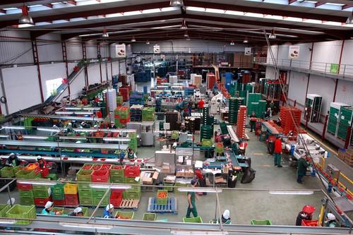 UAL, la Cátedra UAL-Coexphal y Coexphal lideran los ensayos de hortícolas en el Proyecto Europeo Internet of Food & Farm 2020