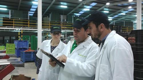 Los ingenieros agrícolas modelan el ecológico de Almería