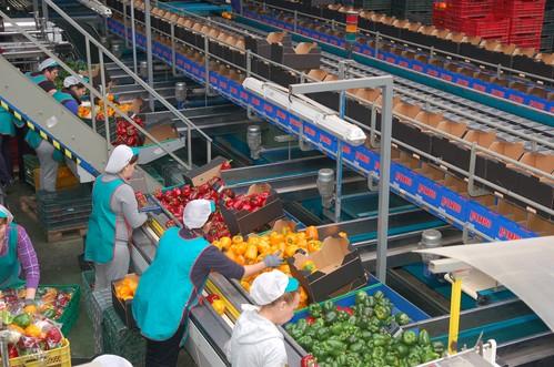 Andalucía lidera las exportaciones de alimentos y bebidas en 2016 con un crecimiento del 12% entre enero y noviembre