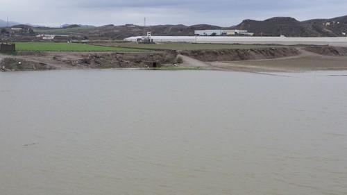 Habrá indemnizaciones para los agricultores afectados por las lluvias de diciembre, según ASAJA