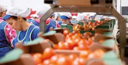 Biotec Family, cooperativa 100% eco-friendly que destaca por su producción tradicional con sabor y calidad