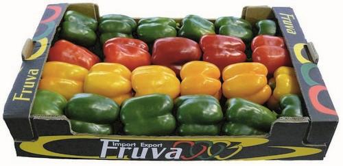 Fruva, siempre a la vanguardia del sector gracias a su constante innovación y trabajo diario
