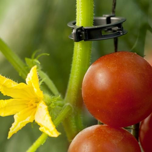 ARaymond Agriculture presentará  dos nuevos clips para invernaderos en 2017