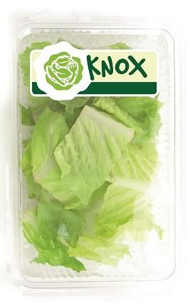 Rijk Zwaan, nominada  con KnoxTM a los ‘Innovation  Award’ de Fruit Logistica