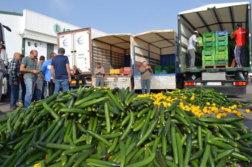 COAG insta a las comercializadoras a que den a conocer la realidad del campo almeriense