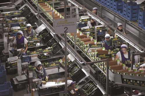 King Courgette será un  referente de garantía en Berlín