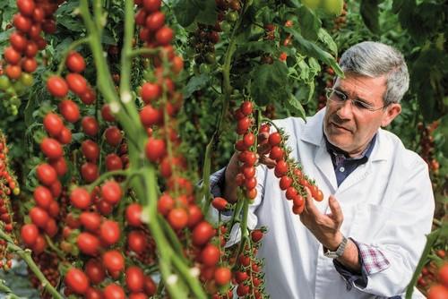 'En Caparrós Nature apostamos por la calidad y la diversificación'