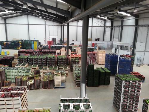 Ecoinver, creciendo  en las especialidades que  demandan sus clientes
