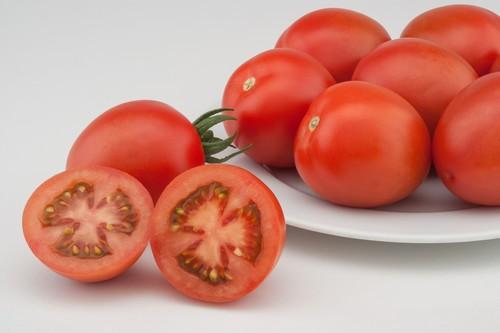Caniles, más de diez años de un tomate de alta calidad apreciado por toda la cadena de valor