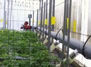 La Junta anima al sector agroalimentario a apostar por las nuevas tecnologías para dar respuesta a los retos de futuro
