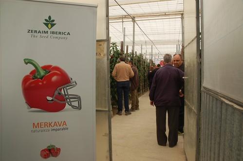 Zeraim Ibérica reúne a más de 1.000 agricultores en sus tradicionales jornadas de puertas abiertas