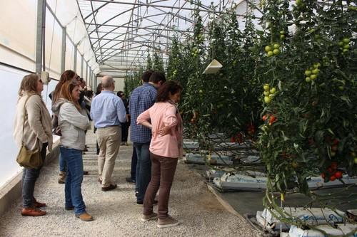 Los grupos de trabajo de la SECH debaten sobre el futuro del sector hortícola en Cajamar