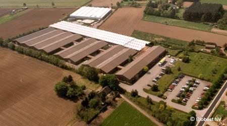 Un incendio en una cámara climática de Biobest en Westerlo daña una área de cría de ácaros