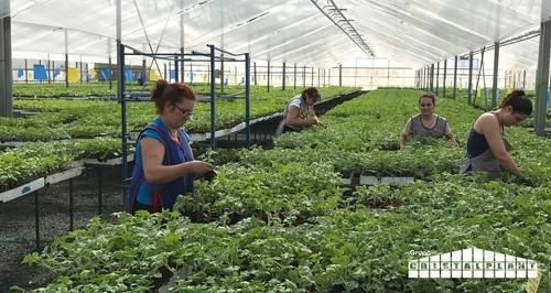 Grupo Cristalplant afronta la primavera con sus delegaciones a pleno rendimiento y con un incremento en la producción