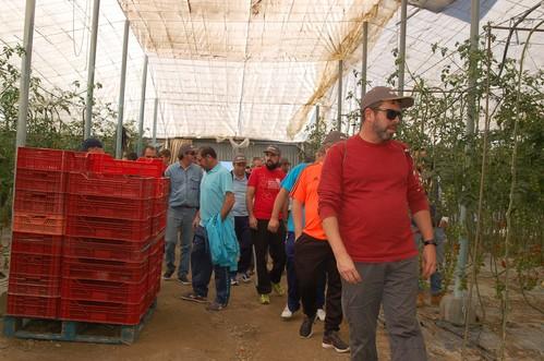Saborini, de HM. Clause, el cherry con el calibre idóneo para los meses más fríos