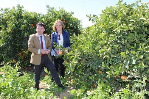 Carmen Ortiz aplaude la unión de agricultores, ecologistas y distribución para impulsar la producción de cítricos sostenibles