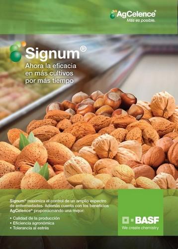 Signum® de BASF permite aumentar la productividad del almendro hasta un 30%